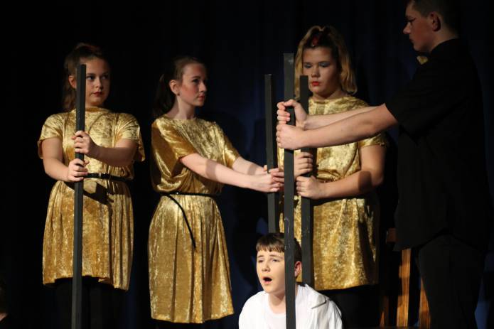 SCHOOL NEWS: Amazing Preston show wows the audience with Joseph musical Photo 12