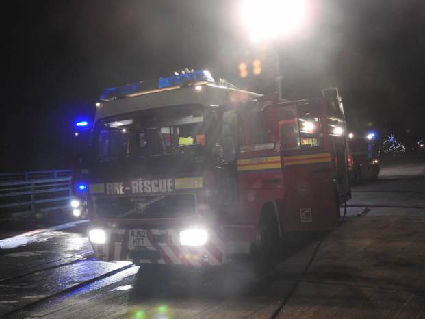 YEOVIL NEWS: Fire Service do “fantastic job” says former Mayoral couple as calves are saved Photo 3