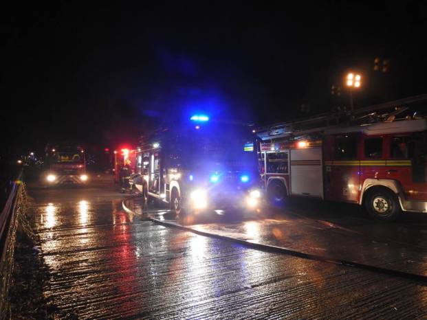 YEOVIL NEWS: Fire Service do “fantastic job” says former Mayoral couple as calves are saved Photo 5