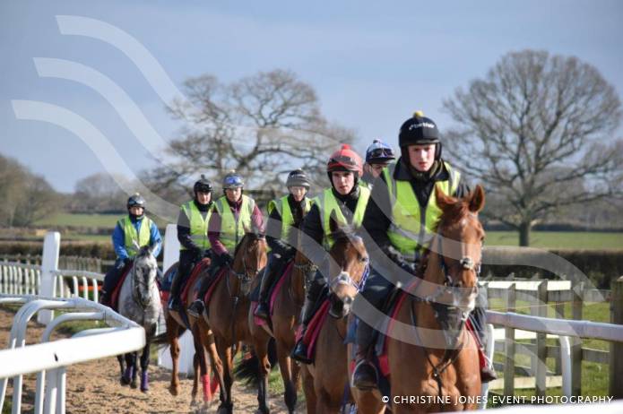 HORSE RACING: Pressure to succeed at Cheltenham Festival is huge says trainer Paul Nicholls Photo 2