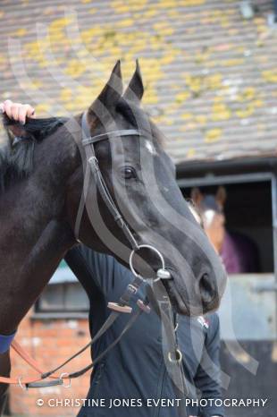 HORSE RACING: Bryony Frost looks for gold medal success at Cheltenham – the Olympics of racing