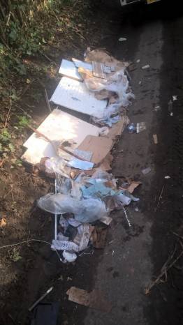 YEOVIL NEWS: Fly-tipping offender prosecuted Photo 1