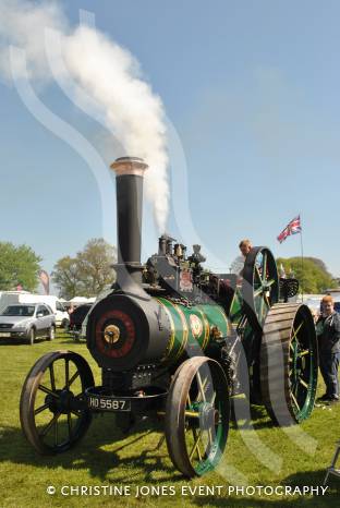 LEISURE: Abbey Hill Steam Rally basks in the sunshine Photo 10