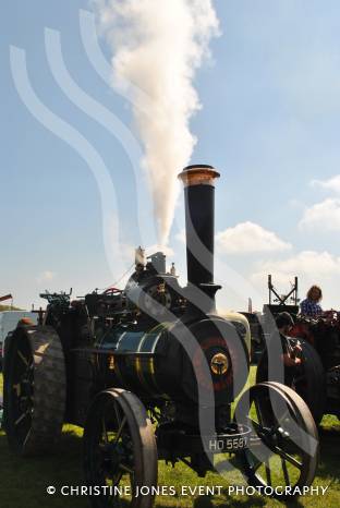 LEISURE: Abbey Hill Steam Rally basks in the sunshine Photo 11