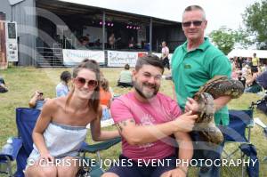 Home Farm Fest Day 3 – June 10, 2018: The third and final afternoon at Chilthorne Domer with Home Farm Fest in aid of the Piers Simon Appeal and its School in a Bag initiative. Photo 12
