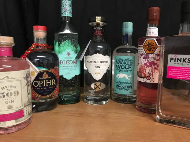 LEISURE: Win weekend tickets for Somerset Gin Festival