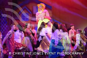 YAPS and Jack and the Beanstalk – Part 3: Yeovil Amateur Pantomime Society brought panto magic to the Octagon Theatre in Yeovil from January 22-26, 2019. Photo 12