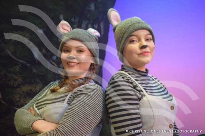 HEADLINE: Castaways are all set for The Wind in the Willows Photo 7