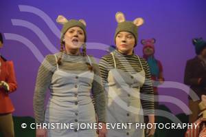 The Wind in the Willows - Part A: Photos from the dress rehearsal of Castaway Theatre Group’s production of The Wind in the Willows at the Octagon Theatre in Yeovil from May 30 through to June 1, 2019. Photo 1