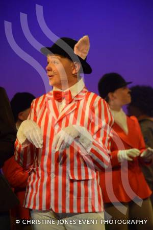 Castaway Theatre Group and Wind in the Willows – Part 1 – May 2019: The Yeovil-based Castaways performed The Wind in the Willows at the Octagon Theatre in Yeovil. Photo 24