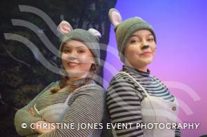Castaway Theatre Group and Wind in the Willows – Part 1 – May 2019: The Yeovil-based Castaways performed The Wind in the Willows at the Octagon Theatre in Yeovil. Photo 8