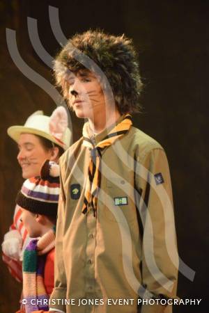 Castaway Theatre Group and Wind in the Willows – Part 2 – May 2019: The Yeovil-based Castaways performed The Wind in the Willows at the Octagon Theatre in Yeovil. Photo 10