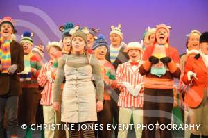 Castaway Theatre Group and Wind in the Willows – Part 2 – May 2019: The Yeovil-based Castaways performed The Wind in the Willows at the Octagon Theatre in Yeovil. Photo 1