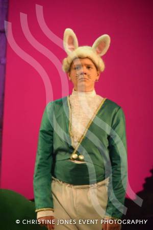 Castaway Theatre Group and Wind in the Willows – Part 3 – May 2019: The Yeovil-based Castaways performed The Wind in the Willows at the Octagon Theatre in Yeovil. Photo 17