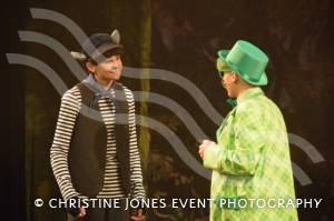 Castaway Theatre Group and Wind in the Willows – Part 3 – May 2019: The Yeovil-based Castaways performed The Wind in the Willows at the Octagon Theatre in Yeovil. Photo 22
