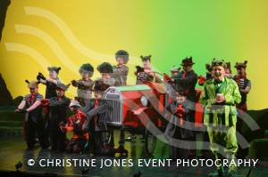 Castaway Theatre Group and Wind in the Willows – Part 4 – May 2019: The Yeovil-based Castaways performed The Wind in the Willows at the Octagon Theatre in Yeovil. Photo 15