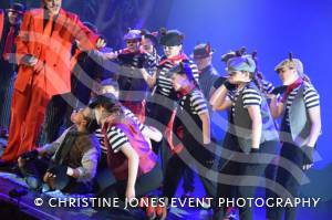 Castaway Theatre Group and Wind in the Willows – Part 5 – May 2019: The Yeovil-based Castaways performed The Wind in the Willows at the Octagon Theatre in Yeovil. Photo 16