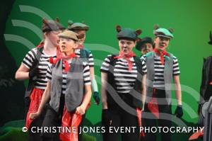 Castaway Theatre Group and Wind in the Willows – Part 5 – May 2019: The Yeovil-based Castaways performed The Wind in the Willows at the Octagon Theatre in Yeovil. Photo 2