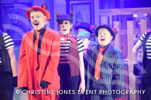 Castaway Theatre Group and Wind in the Willows – Part 6 – May 2019: The Yeovil-based Castaways performed The Wind in the Willows at the Octagon Theatre in Yeovil. Photo 1