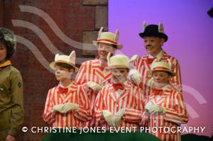 Castaway Theatre Group and Wind in the Willows – Part 8 – May 2019: The Yeovil-based Castaways performed The Wind in the Willows at the Octagon Theatre in Yeovil. Photo 22
