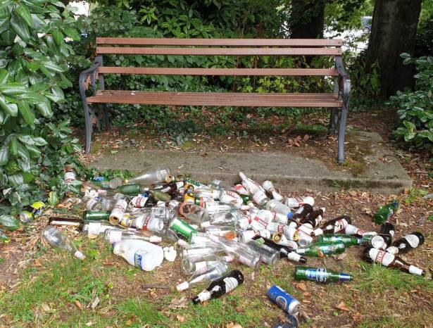 YEOVIL NEWS: Yeovil’s rubbish problems are becoming a toilet pan-demic