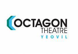 YEOVIL NEWS: Questions and answers over £23m Octagon Theatre revamp Photo 5
