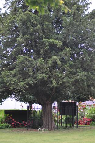 RIP QUEEN ELIZABETH II: Public invited to lay floral tributes at St John’s churchyard in Yeovil Photo 5