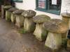Staddle stone thefts from South Somerset