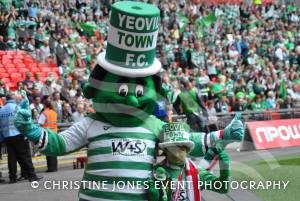 Wembley Gallery 3 - May 19, 2013: Yeovil Town v Brentford, npower League One Play-Off Final. Photo 2
