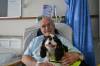 Tails are wagging at Yeovil Hospital