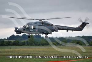 RNAS Merryfield Open Evening - June 12, 2013: A Lynx on display at the open evening. Photo 9