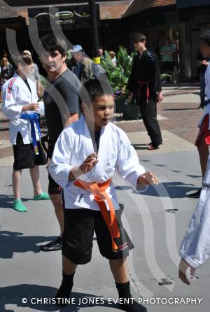 Panthers Martial Arts Academy - July 6, 2013: The Panthers were in the Quedam Shopping Centre, Yeovil, to raise money for the Flying Colours Appeal. Photo 3