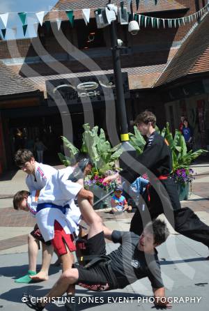 Panthers Martial Arts Academy - July 6, 2013: The Panthers were in the Quedam Shopping Centre, Yeovil, to raise money for the Flying Colours Appeal. Photo 11