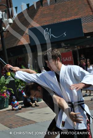 Panthers Martial Arts Academy - July 6, 2013: The Panthers were in the Quedam Shopping Centre, Yeovil, to raise money for the Flying Colours Appeal. Photo 16