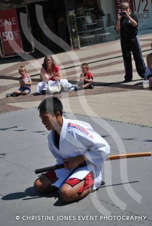 Panthers Martial Arts Academy - July 6, 2013: The Panthers were in the Quedam Shopping Centre, Yeovil, to raise money for the Flying Colours Appeal. Photo 17
