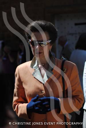 Princess Anne was at Dllington House, near Ilminster, in July 2011.