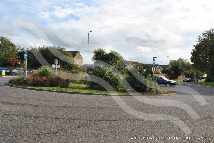 Fears overgrown vegetation makes roundabout a hazard