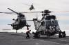 RNAS Yeovilton on Exercise Cougar 12 - turn to our news page for full story