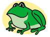 Read-it! Frog bin set for Johnson Park