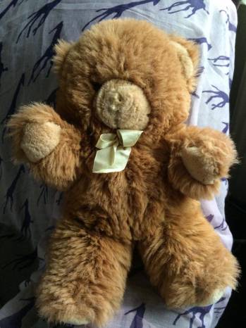 Have YOU lost this loveable teddy bear?