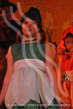 Cloverleaf & Sleeping Beauty - February 2014: Fairy Green (Nell Wallbridge). Photo 15
