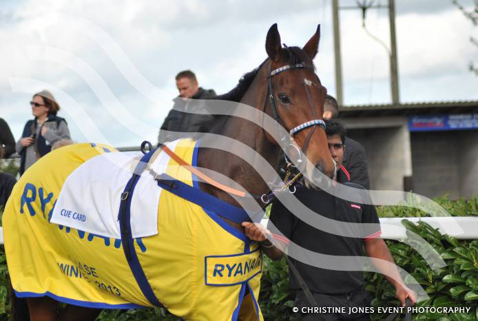 cheltenham gold cup card cheltenham gold cup card