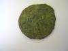 Rare Roman coin discovered in Somerset