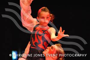 Orchard Gymnastics perform at the Gold Star Awards on October 30, 2012