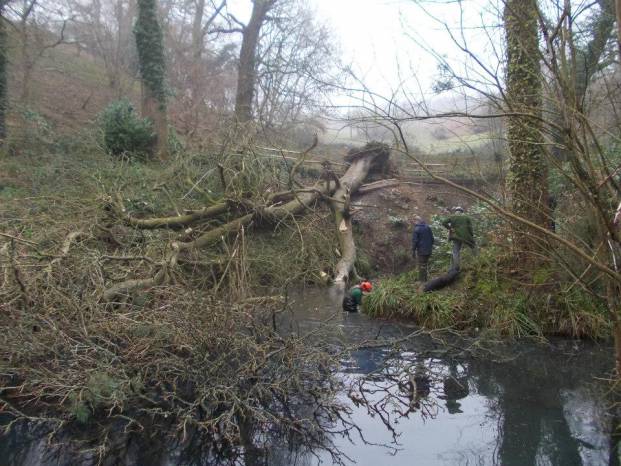 Volunteers are key to clean-up operation at Yeovil Country Park