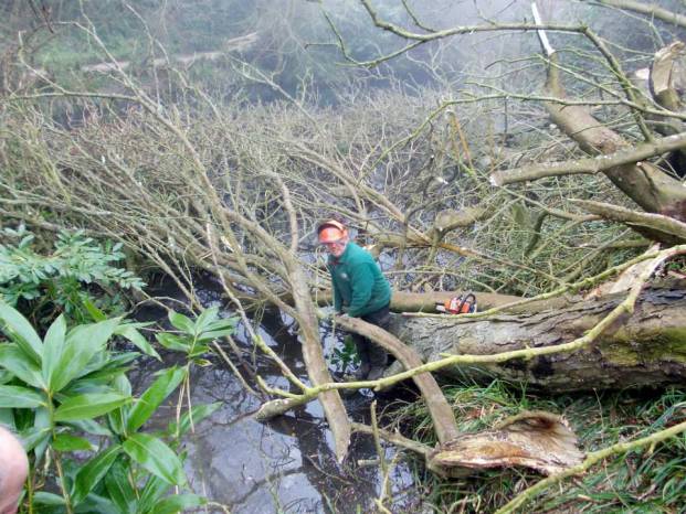 Volunteers are key to clean-up operation at Yeovil Country Park