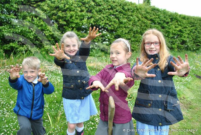 YEOVIL NEWS: Planting trees for World Earth Day at Preston Primary