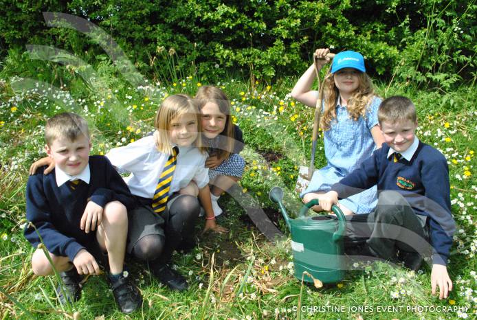 YEOVIL NEWS: Planting trees for World Earth Day at Preston Primary