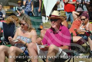 Home Farm Fest Part 4 - June 8, 2014: The third and final day of the Home Farm Fest at Chilthorne Domer. Festival-goers lounging in the sun and enjoying some food. Photo 16