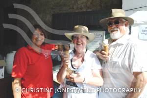 Petherton Folk Fest - June 21, 2014: Fun in the sun at South Petherton for its annual Folk Fest! Photo 11